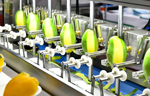 emi-industries-served-food-processing-packaging