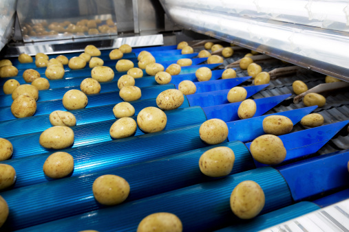 emi-industries-served-food-processing-packaging